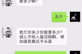 井陉县为什么选择专业追讨公司来处理您的债务纠纷？